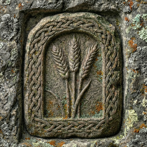 The Ancestors